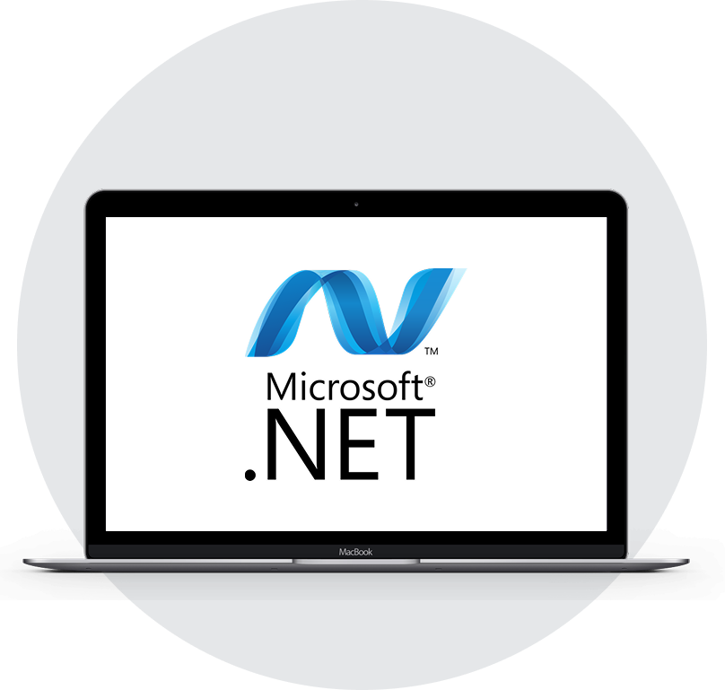.NET Developer