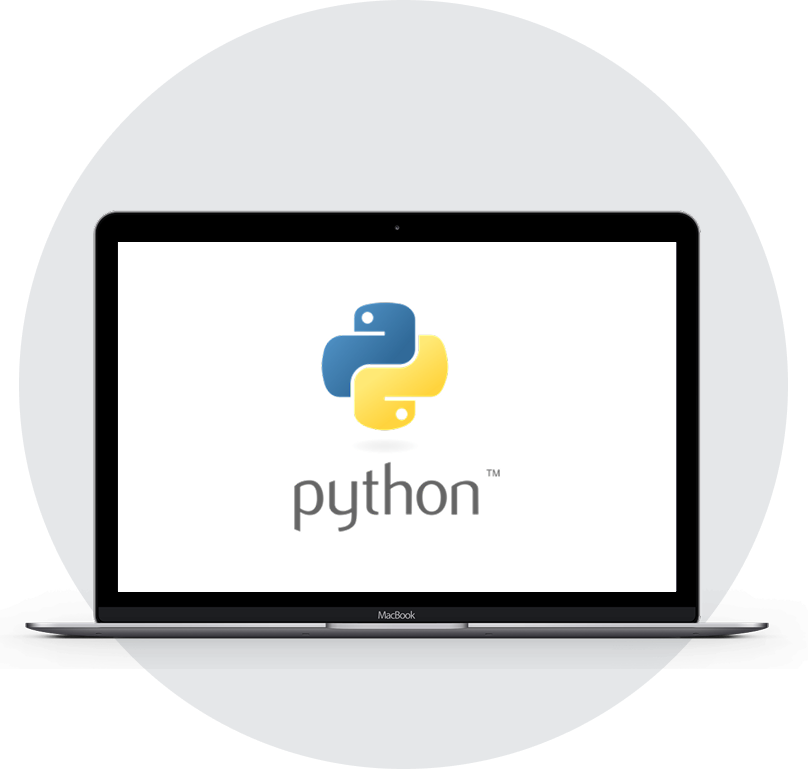 Python Developer